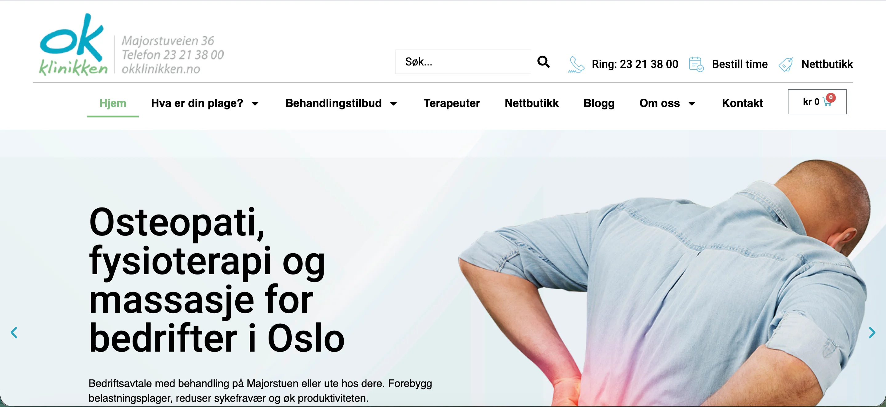 Smestadpsykologene – nettside laget av Myrvold Marketing